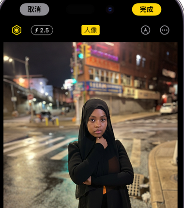 叶县苹果15服务店分享如何在iPhone15系列机型拍摄照片中添加人像效果 